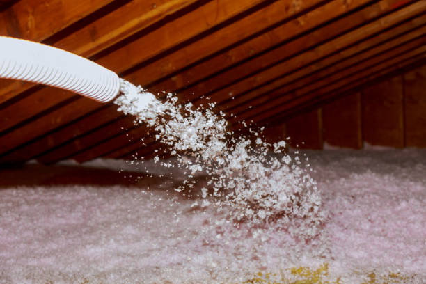 Best Energy Efficiency Insulation in Three Oaks, MI