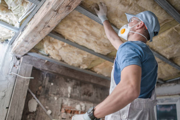 Best Commercial Insulation in Three Oaks, MI