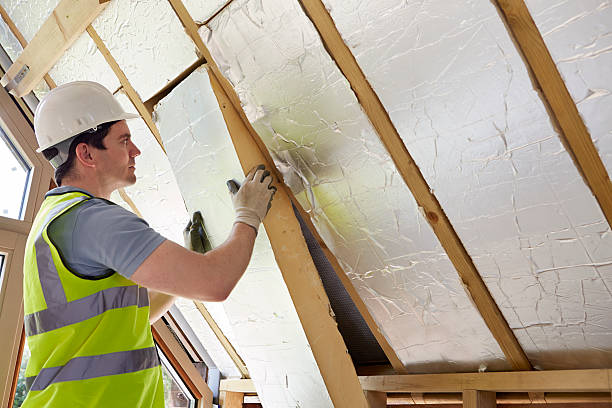 Best Eco-Friendly Insulation in Three Oaks, MI