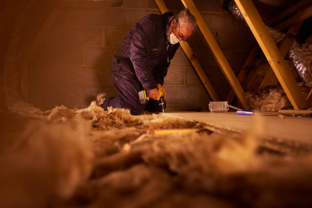 Best Geographic-Specific Insulation Services in Three Oaks, MI